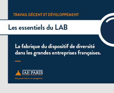 La fabrique du dispositif de diversité dans les grandes entreprises françaises