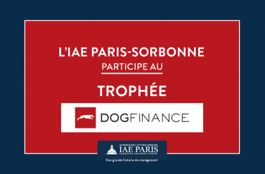 DogFinance 2023