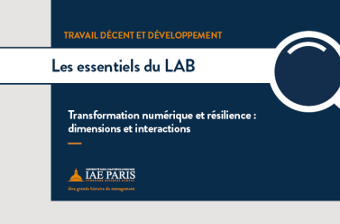 Transformation numérique et résilience : dimensions et interactions