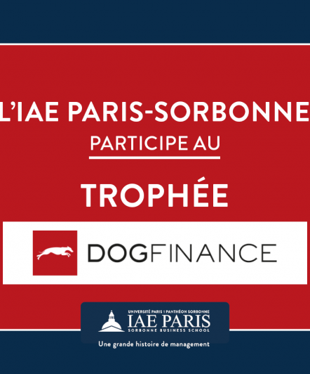DogFinance 2023