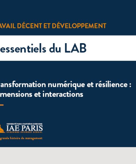 Transformation numérique et résilience : dimensions et interactions